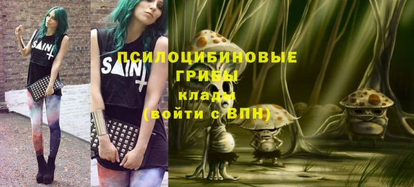 спайс Алзамай